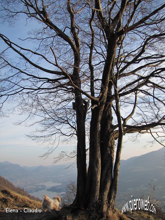 11 Anche Birba è affascinata....JPG